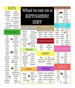 Keto Diet Free for Beginners